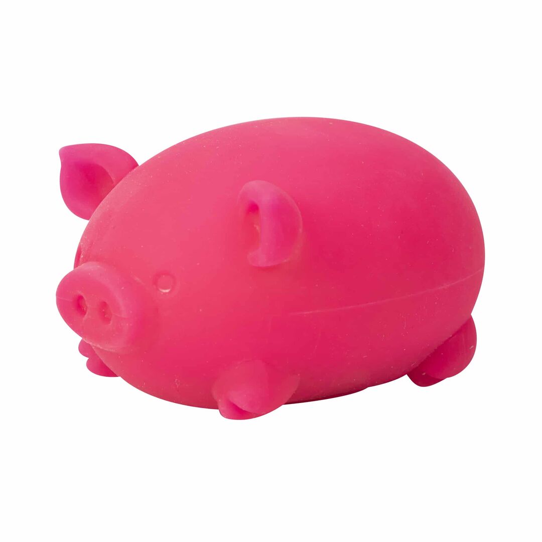 NeeDoh Dig’ It Pig - Image 14