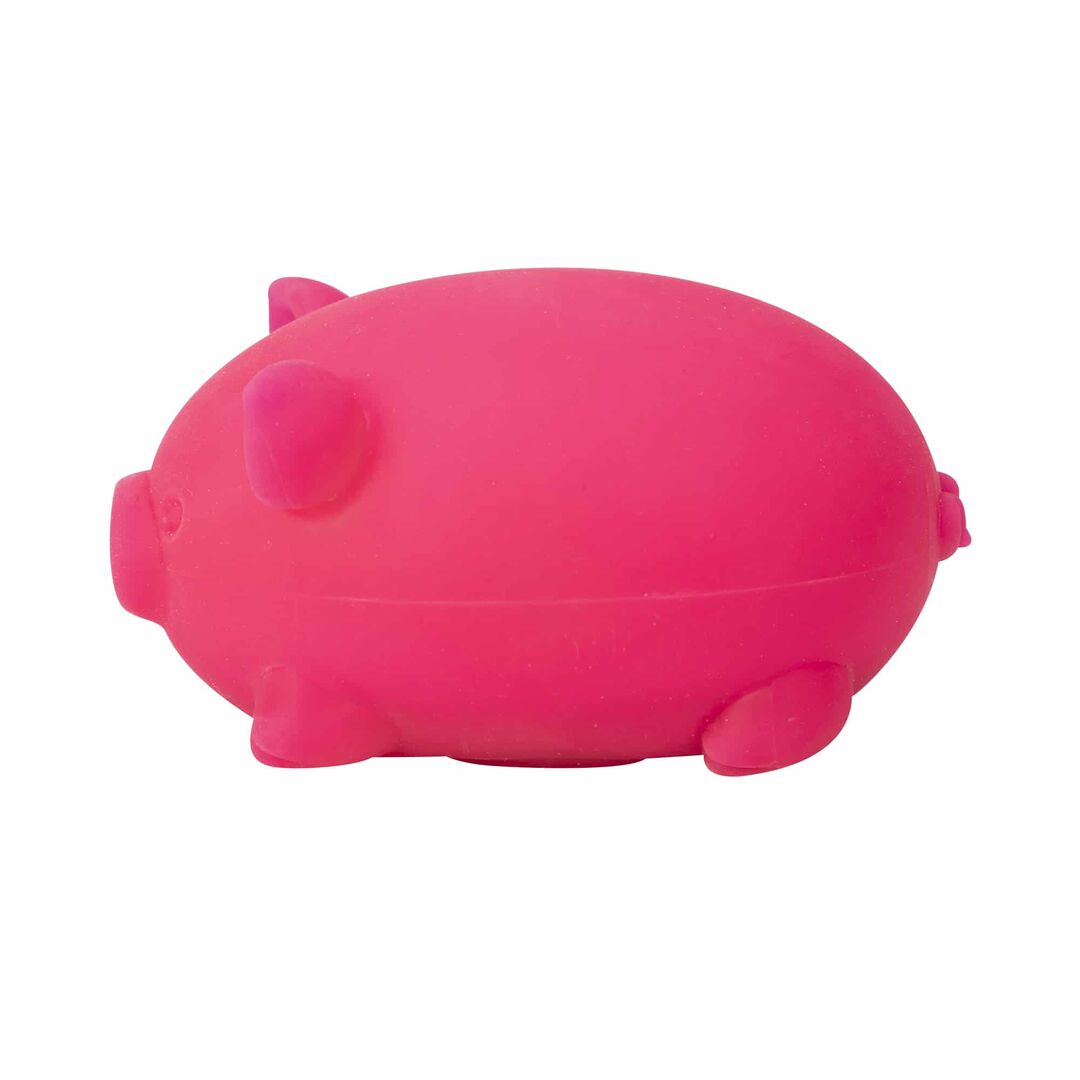 NeeDoh Dig’ It Pig - Image 25