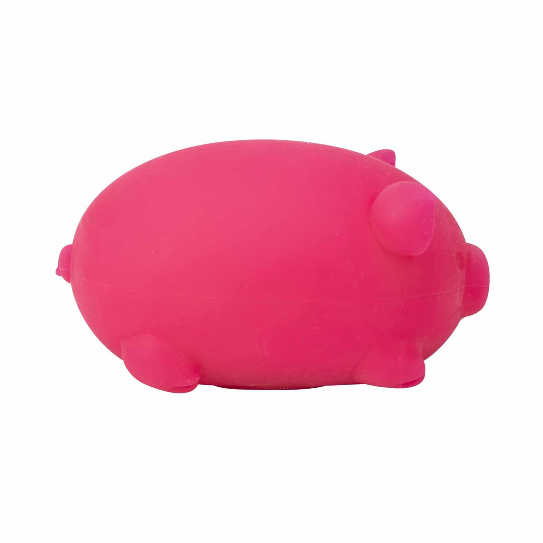 NeeDoh Dig’ It Pig - Image 24