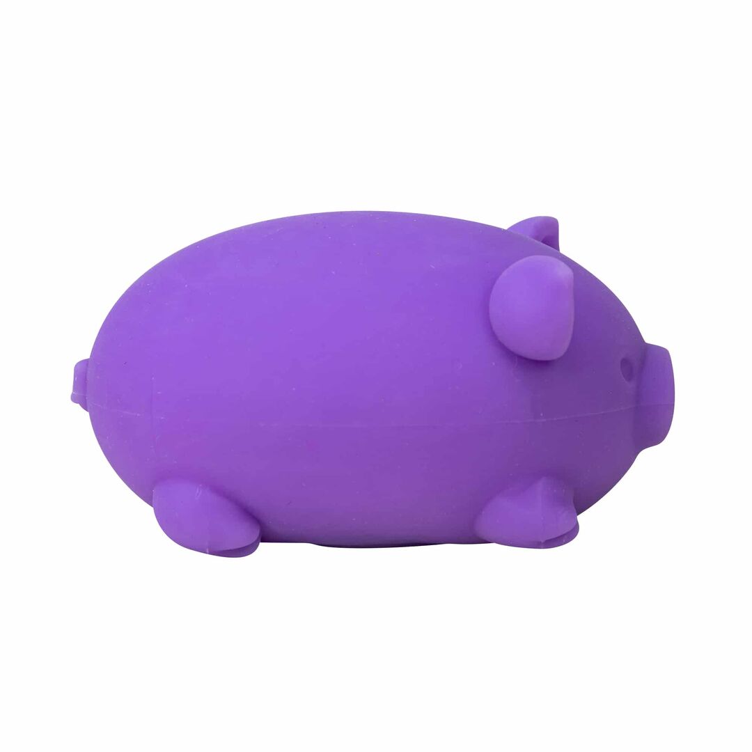 NeeDoh Dig’ It Pig - Image 26